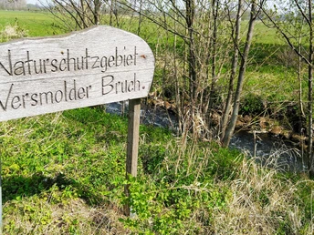 Versmolder Bruch Holzschild "Naturschutzgebiet Versmolder Bruch" vor einem kleinen Bach und grünem Feld.