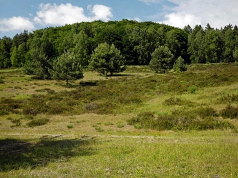 Schöne Ausblicke entlang des Weges