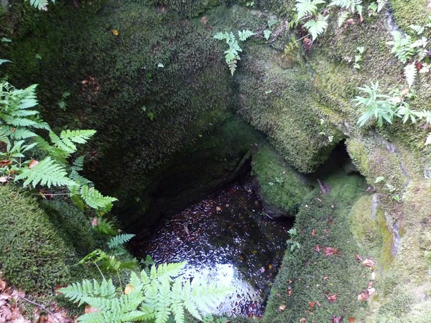 Historischer Brunnen an der Stadtwüstung Blankenrode