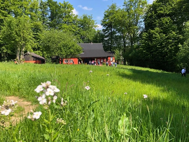 Eltern-/Künstlerhaus des Malers P. A. Böckstiegel Rotes Holzhaus inmitten einer grünen Wiese und umgeben von Bäumen unter blauem Himmel.