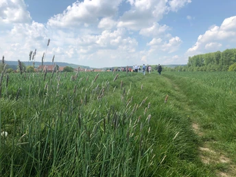 Weitblick in Arrode, Werther (Westf.) Gruppe von Menschen wandert auf einem Wiesenpfad unter blauem Himmel mit einigen Wolken.
