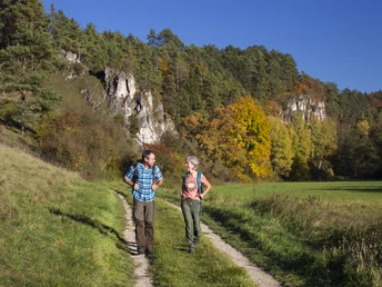 Am Burgensteig Nähe Beratzhausen Zwei Wanderer auf einem Pfad im Tal der Schwarzen Laber, umgeben von Wald.