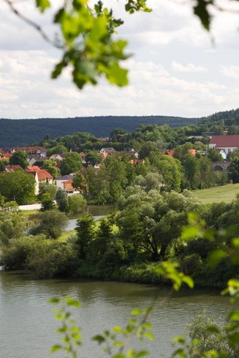 Blick auf Sinzing Blick auf das Dorf Sinzing mit Fluss, grünen Bäumen und roten Dächern im Hintergrund.