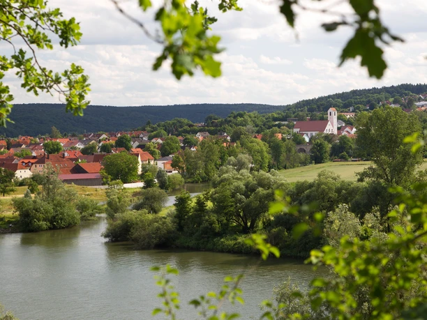 Blick auf Sinzing Blick auf das Dorf Sinzing mit Fluss, grünen Bäumen und roten Dächern im Hintergrund.