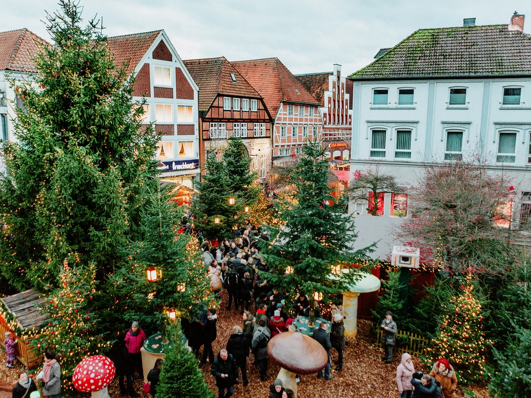 Wintermärchen2_Madeline Jost.JPG