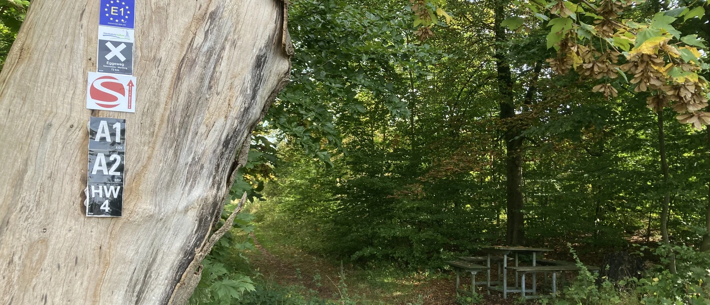 Hiking Trail HW4 | Herbram Forest Hiking Trail HW4 | Herbram Forest