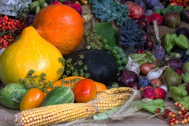 Kochen im Oktober 2026.jpg