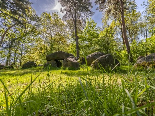 Teufelssteine Osnabrück-Voxtrup Teufelssteine Osnabrück-Voxtrup