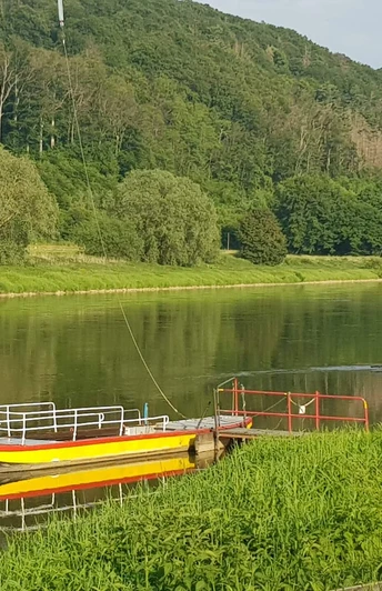 Eine gelbe Fähre mit rotem Geländer liegt ruhig an einem grünen Flussufer, umgeben von Wäldern.