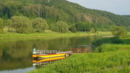 7_hx_fhu_faehrewehrden_stephanberg Eine gelbe Fähre mit rotem Geländer liegt ruhig an einem grünen Flussufer, umgeben von Wäldern.