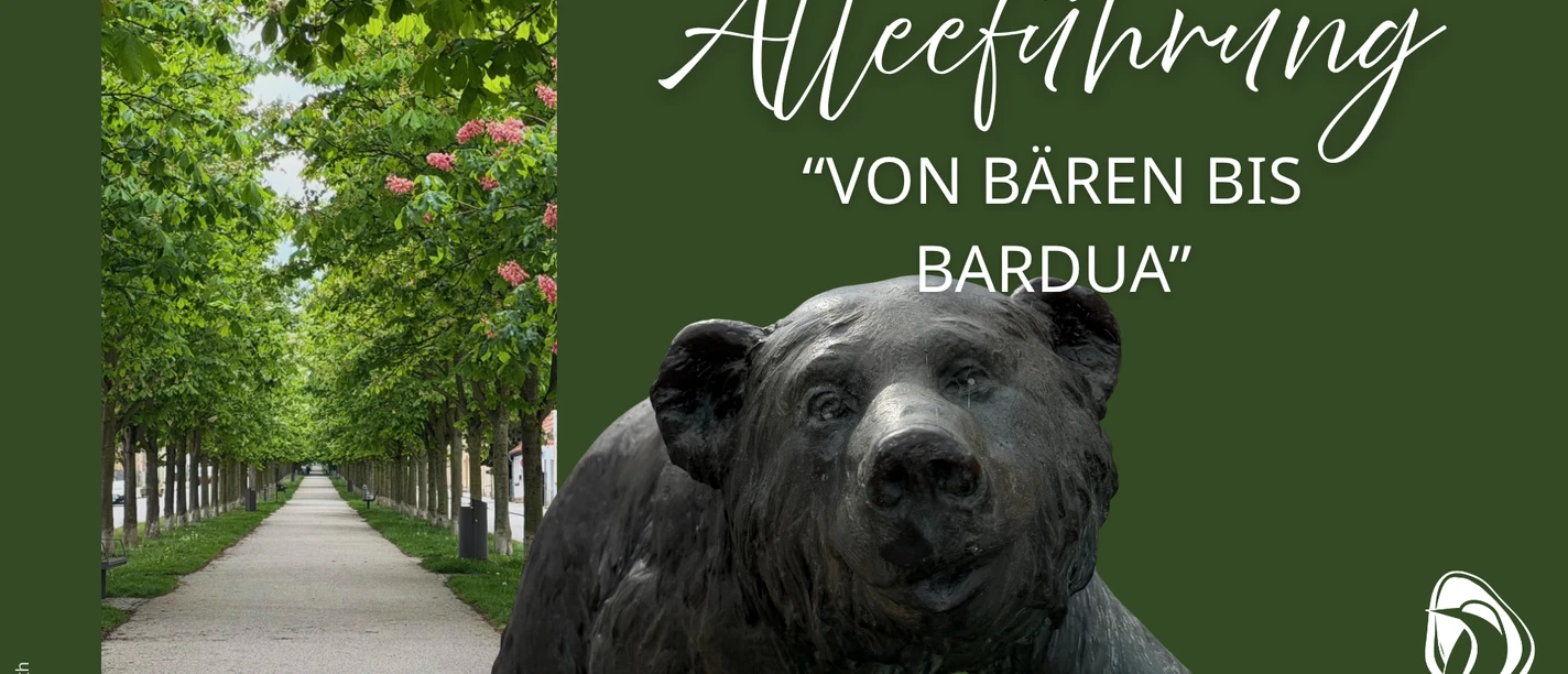 Alleeführung"Bären bis Bardua" Alleeführung"Bären bis Bardua"