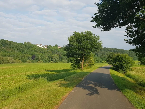 1b_hx_zbih_weserradweg_blickauffuerstenberg_stephanberg Grüne Landschaft mit einer asphaltierten Radwegstrecke, die durch Felder und Bäume führt, im Hintergrund Hügel.