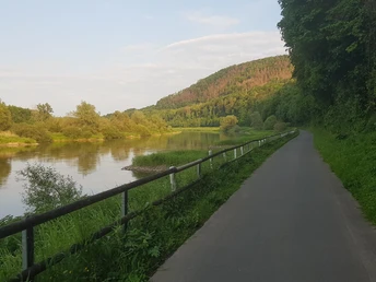 11_hx_zbih_weserradweg_wuergassen_stephanberg Radweg am Weser-Ufer bei Würgassen, flankiert von einem grünen Hügel und umgeben von üppiger Natur.