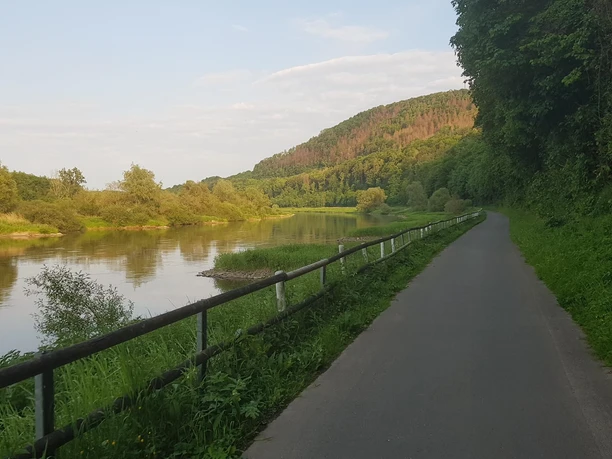 11_hx_zbih_weserradweg_wuergassen_stephanberg Radweg am Weser-Ufer bei Würgassen, flankiert von einem grünen Hügel und umgeben von üppiger Natur.