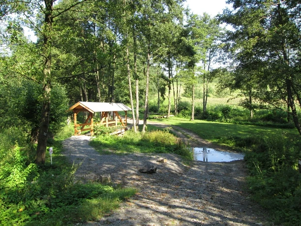 Fischbachfurt und -brücke Holzbrücke über einen kleinen Bach in einem bewaldeten, grünen Park in sonniger Umgebung.