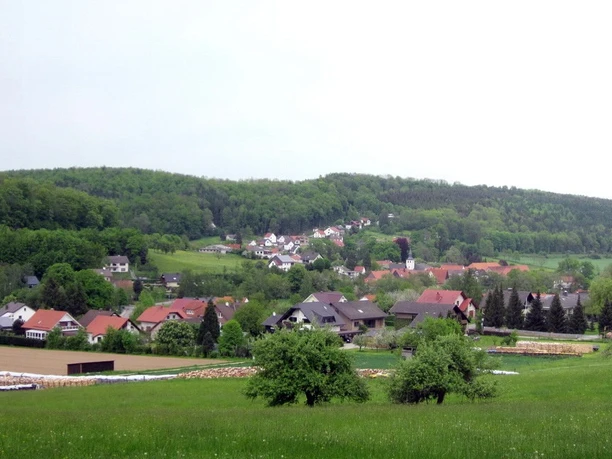 Blick auf Himmighausen aus Westen Blick auf Himmighausen mit verstreuten Häusern vor bewaldeten Hügeln und grünen Feldern im Vordergrund.