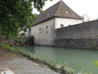 Teich am Schloss Himmighausen Schloss Himmighausen mit ruhigem Teich, umgeben von altem Mauerwerk und dichter Vegetation.