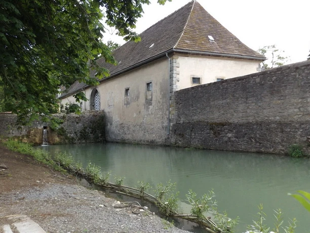 Teich am Schloss Himmighausen Schloss Himmighausen mit ruhigem Teich, umgeben von altem Mauerwerk und dichter Vegetation.
