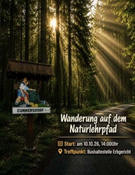 IMG_20261006_092745 Man sieht einen, mit Sonnenstrahlen, durchfluteten Wald und einen Wegweiser, der nach Cunnersdorf zeigt