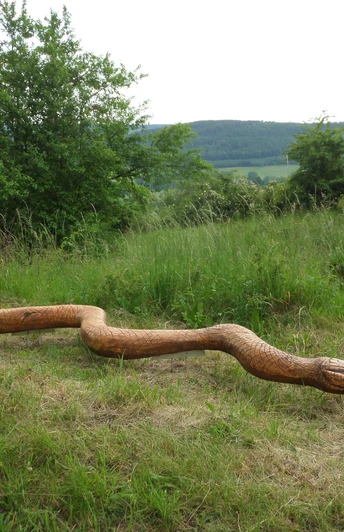 Schlingnatter "Natti"