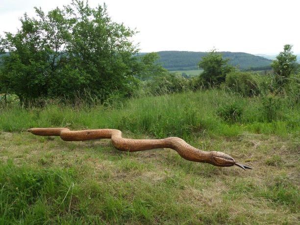 Schlingnatter "Natti"