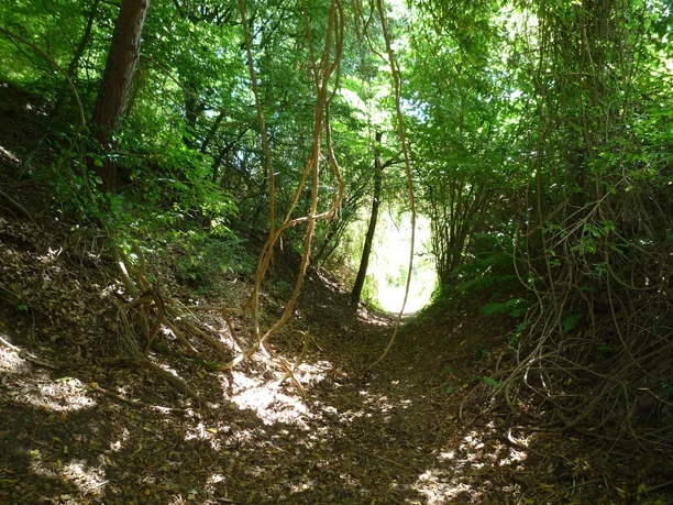 Historischer Hohlweg