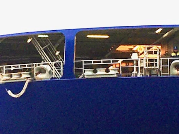 Bremerhaven aus Sicht einer Künstlerin Blaues Schiff mit beleuchtetem Deck hinter grünem Zaun, künstlerisch verfremdet.