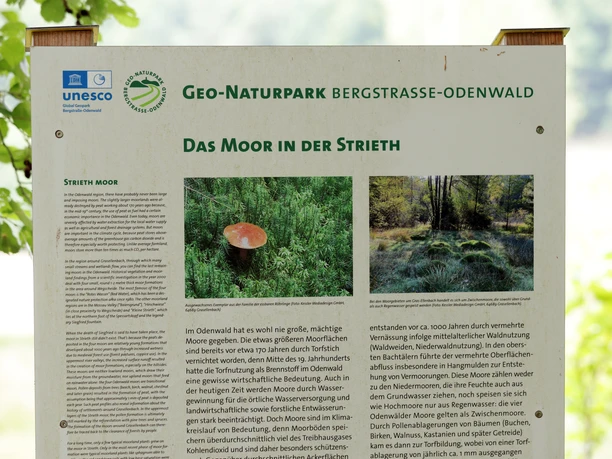 Moor in der Strieth Moor in der Strieth
