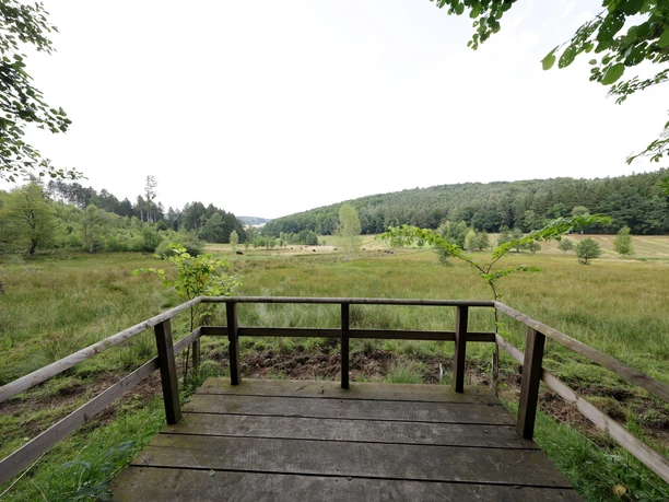Moorpfad Grasellenbach Moorpfad Grasellenbach