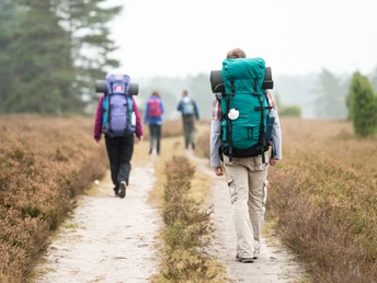 Der Jacobusweg in der Misselhorner Heide Pilgerwege in Deutschland, wie der Jacobusweg Lüneburger Heide