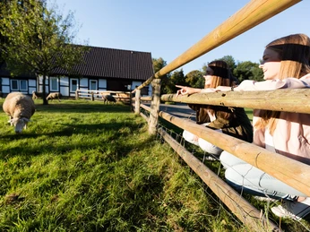 Museumshof Rahden Zwei Mädchen sitzen lächelnd am Holzzaun des Museumshofs Rahden, umgeben von grasenden Schafen.