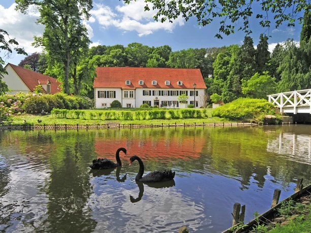 Weiße Villa mit rotem Dach an einem Teich in grüner Umgebung, zwei schwarze Schwäne im Vordergrund.