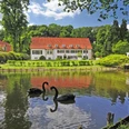 Haus des Gastes in Bad Holzhausen Weiße Villa mit rotem Dach an einem Teich in grüner Umgebung, zwei schwarze Schwäne im Vordergrund.