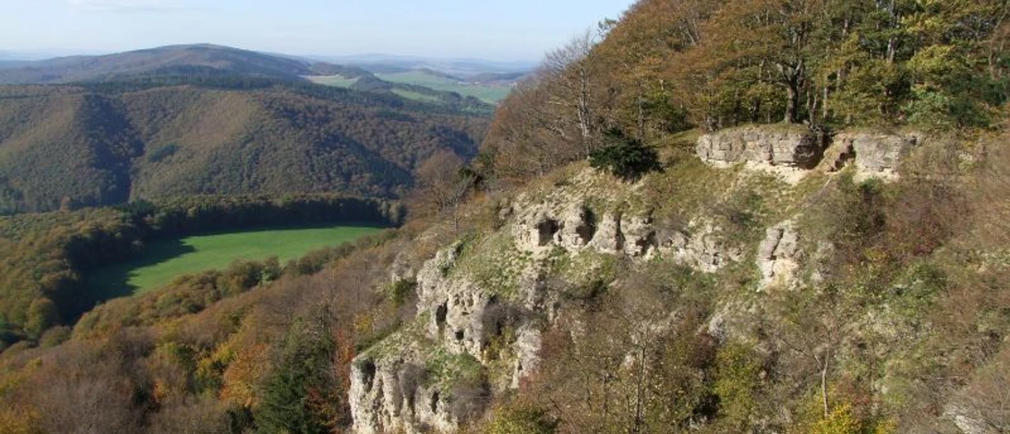 Felsabbruch_Dietzenröder_Klippen__c_Susanne_Pfingst.jpg Felsabbruch_Dietzenröder_Klippen__c_Susanne_Pfingst.jpg