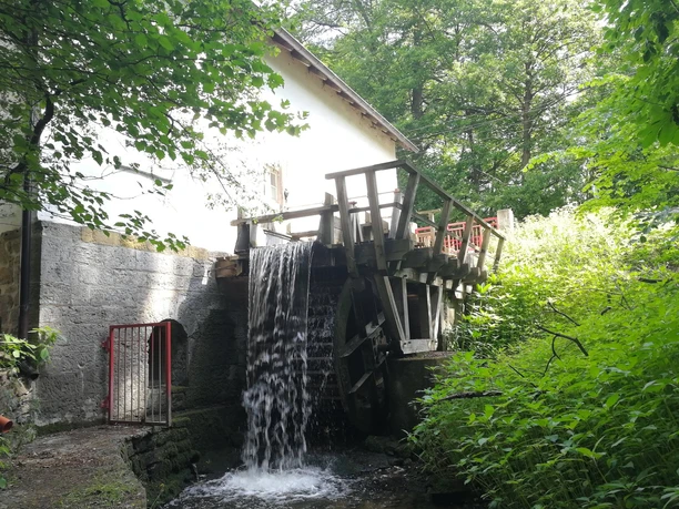 Niemöllers Mühle