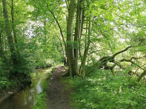 Wegeverlauf am Bachlauf