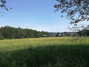Blick auf den Fernsehturm