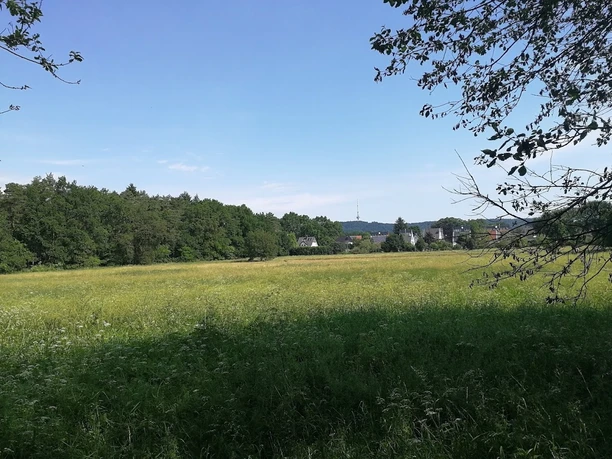 Blick auf den Fernsehturm