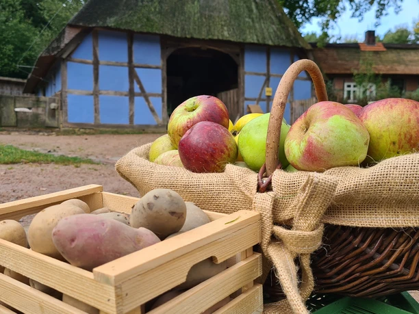 Regioanle Vielfalt entdecken beim Apfel- und Kartoffeltag am 18.10.2026 im Freilichtmuseum am Kiekeberg, Bild FLMK.jpg Regioanle Vielfalt entdecken beim Apfel- und Kartoffeltag am 18.10.2026 im Freilichtmuseum am Kiekeberg, Bild FLMK.jpg