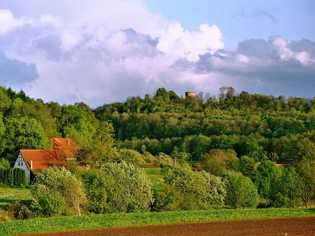 Blick auf die Burg Ravensberg Landschaft mit grünen Hügeln, Bäumen und einem Schloss auf einem bewaldeten Hügel unter blauem Himmel.