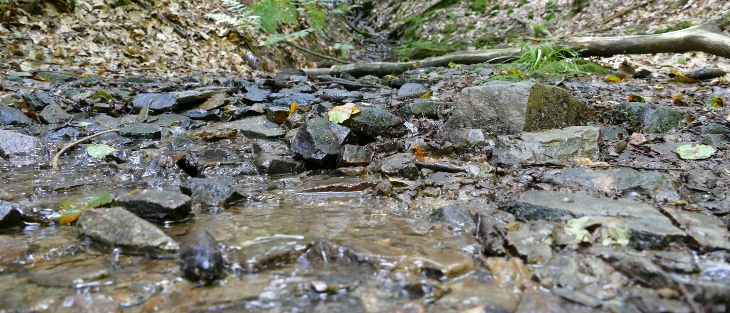 Bach Künstlerweg.JPG Bach Künstlerweg.JPG
