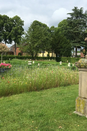 Alter Friedhof Ein grüner Friedhof mit historischen Grabsteinen, bunten Blumen und Bäumen im Hintergrund.