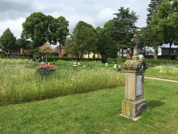 Alter Friedhof Ein grüner Friedhof mit historischen Grabsteinen, bunten Blumen und Bäumen im Hintergrund.