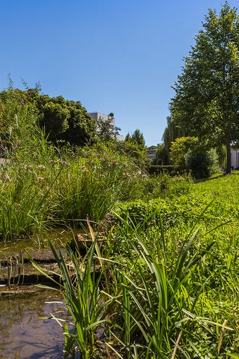 Schaupfad Wasserkraft Günzburg