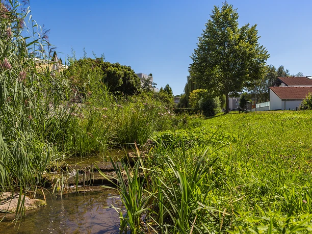 Schaupfad Wasserkraft Günzburg Schaupfad Wasserkraft Günzburg