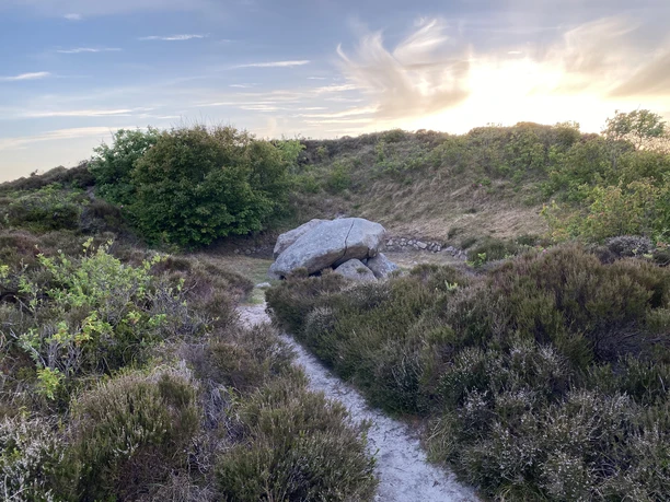 verstecktes Hünengrab in Kampen