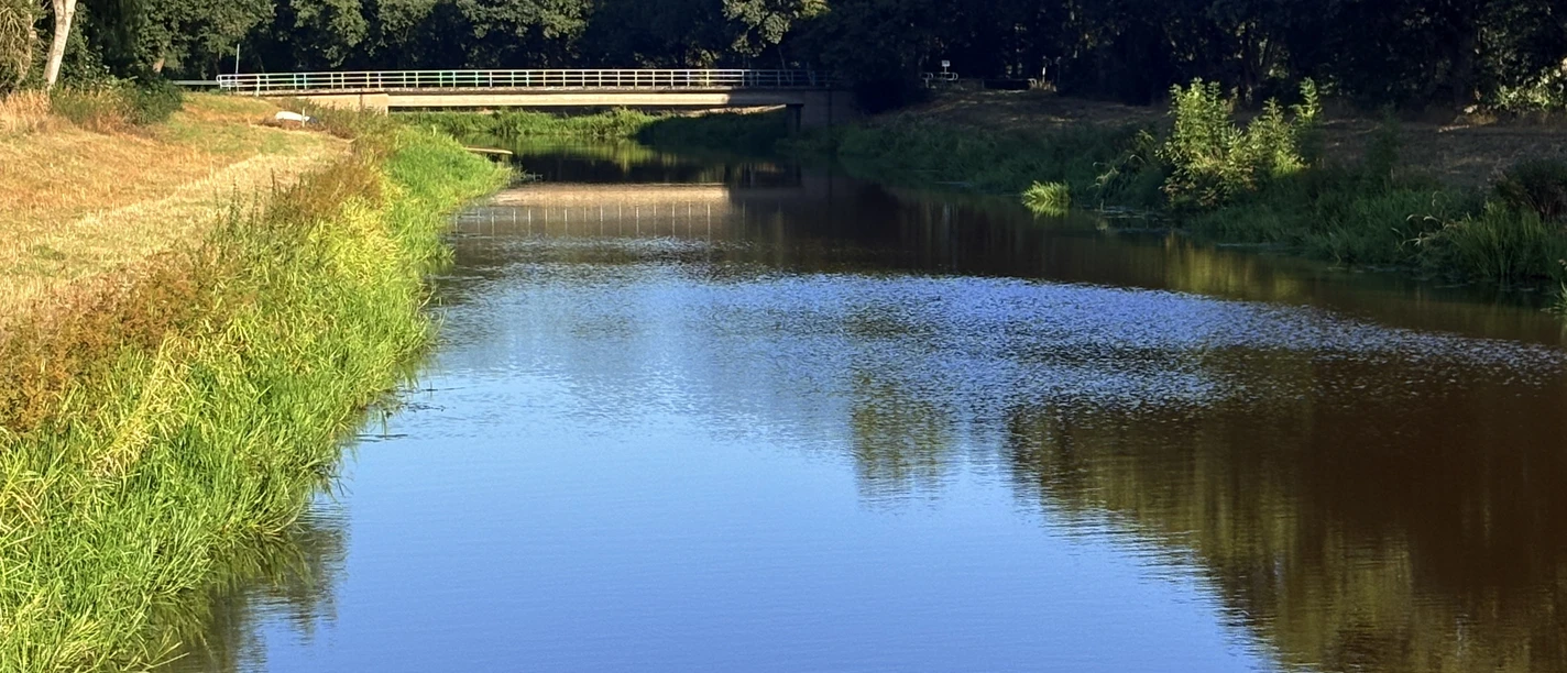 Wehr Loge1.jpeg Wehr an der Großen Aue mit Brücke, ruhigem Wasser und dichtem Ufergrün.