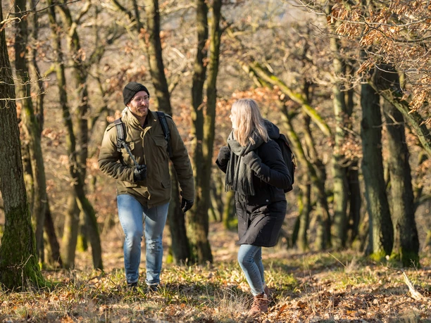 Unterwegs durch den Wald
