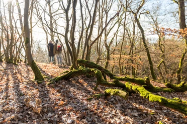 Kaltbachtal mit Blick auf Nassau
