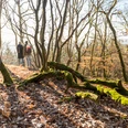 Kaltbachtal mit Blick auf Nassau